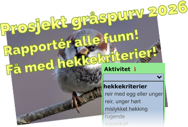 Promotering