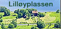 Lill&oslash;yplassen