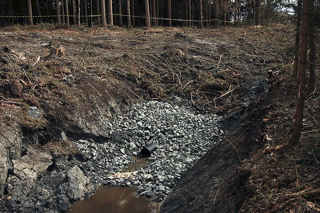 Flakstadmåsan 1 r&oslash;rutl&oslash;p