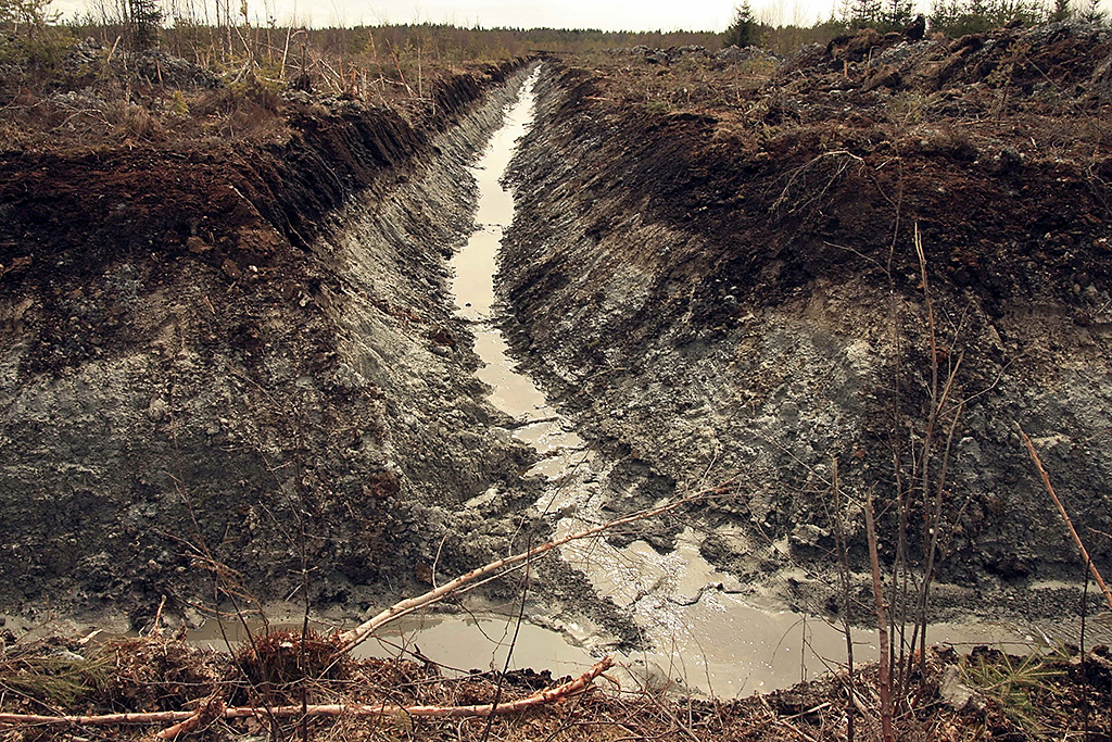 Flakstadm&aring;san s&oslash;rover fra gr&oslash;ftm&oslash;tet