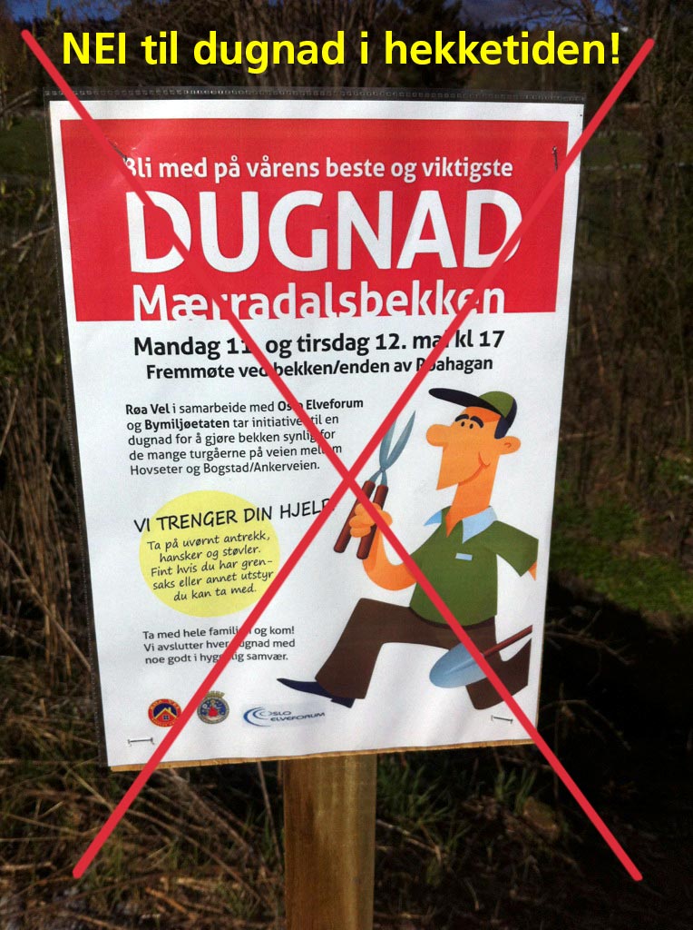 M&aelig;rradalen dugnad